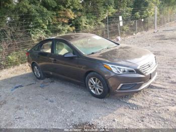  Salvage Hyundai SONATA