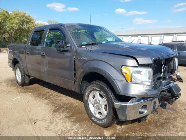  Salvage Ford F-150