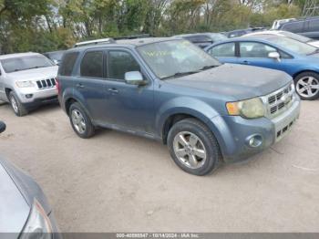  Salvage Ford Escape