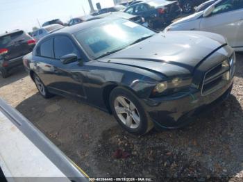  Salvage Dodge Charger