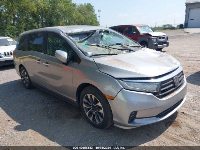  Salvage Honda Odyssey