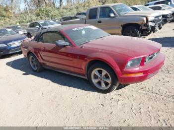  Salvage Ford Mustang