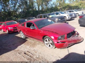  Salvage Ford Mustang