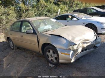  Salvage Chevrolet Classic