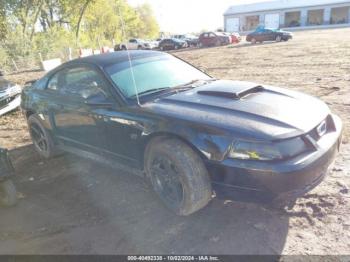  Salvage Ford Mustang