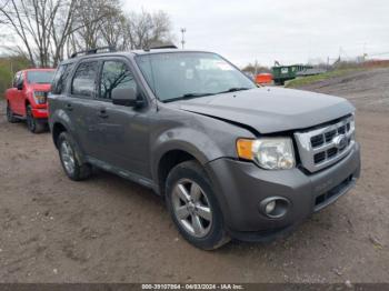  Salvage Ford Escape