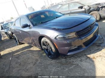  Salvage Dodge Charger