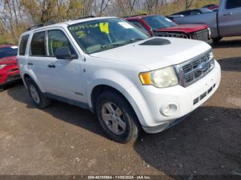  Salvage Ford Escape