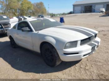  Salvage Ford Mustang