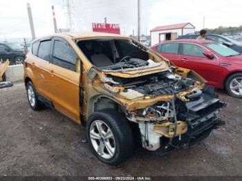  Salvage Ford Escape