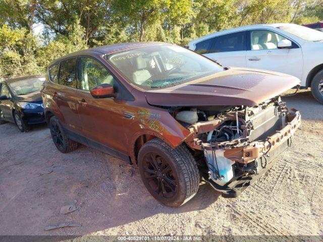  Salvage Ford Escape