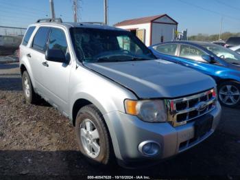  Salvage Ford Escape