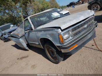  Salvage Chevrolet S Truck