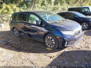  Salvage Honda Odyssey