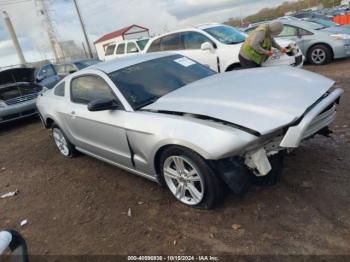  Salvage Ford Mustang