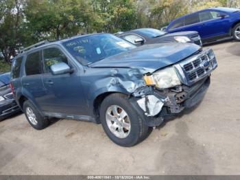  Salvage Ford Escape