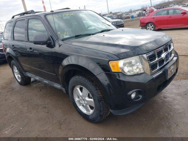  Salvage Ford Escape