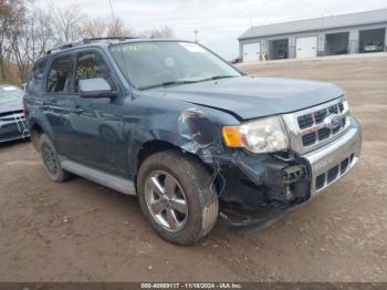  Salvage Ford Escape