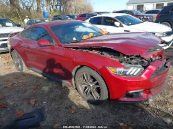  Salvage Ford Mustang