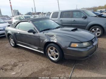  Salvage Ford Mustang