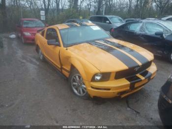  Salvage Ford Mustang