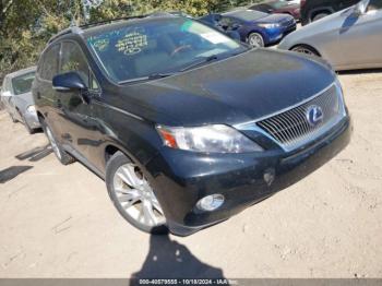  Salvage Lexus RX