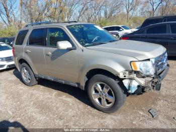  Salvage Ford Escape