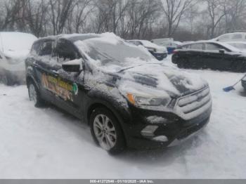  Salvage Ford Escape