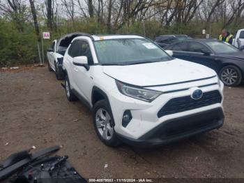  Salvage Toyota RAV4