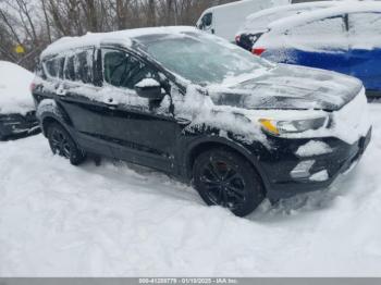  Salvage Ford Escape