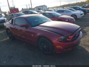  Salvage Ford Mustang