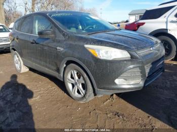  Salvage Ford Escape