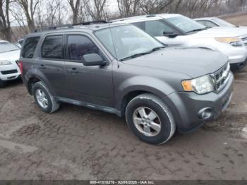  Salvage Ford Escape