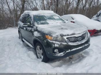  Salvage Kia Sorento