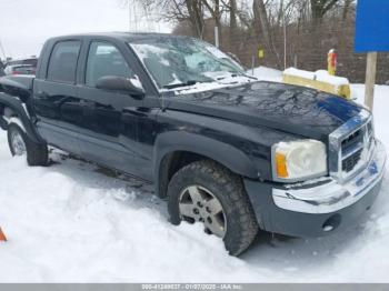  Salvage Dodge Dakota