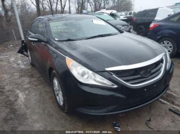  Salvage Hyundai SONATA