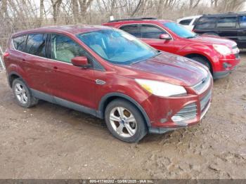  Salvage Ford Escape