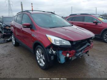  Salvage Ford Escape