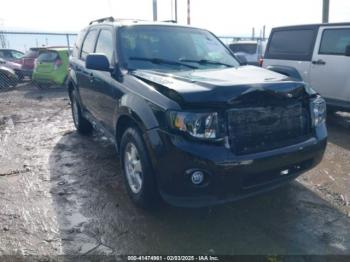  Salvage Ford Escape