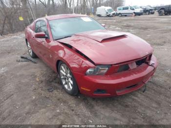  Salvage Ford Mustang