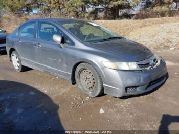  Salvage Honda Civic