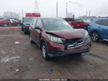  Salvage Honda CR-V