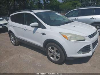  Salvage Ford Escape