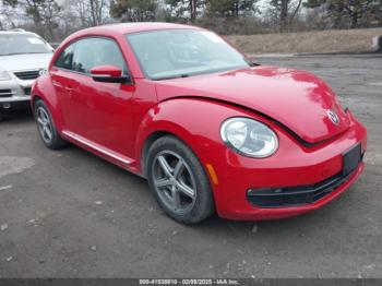  Salvage Volkswagen Beetle