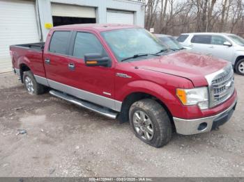  Salvage Ford F-150