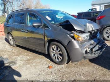  Salvage Honda Odyssey