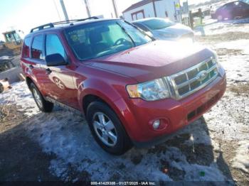  Salvage Ford Escape