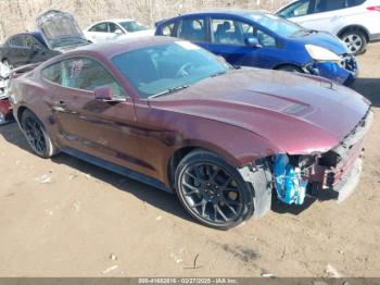  Salvage Ford Mustang