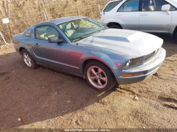  Salvage Ford Mustang