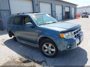  Salvage Ford Escape